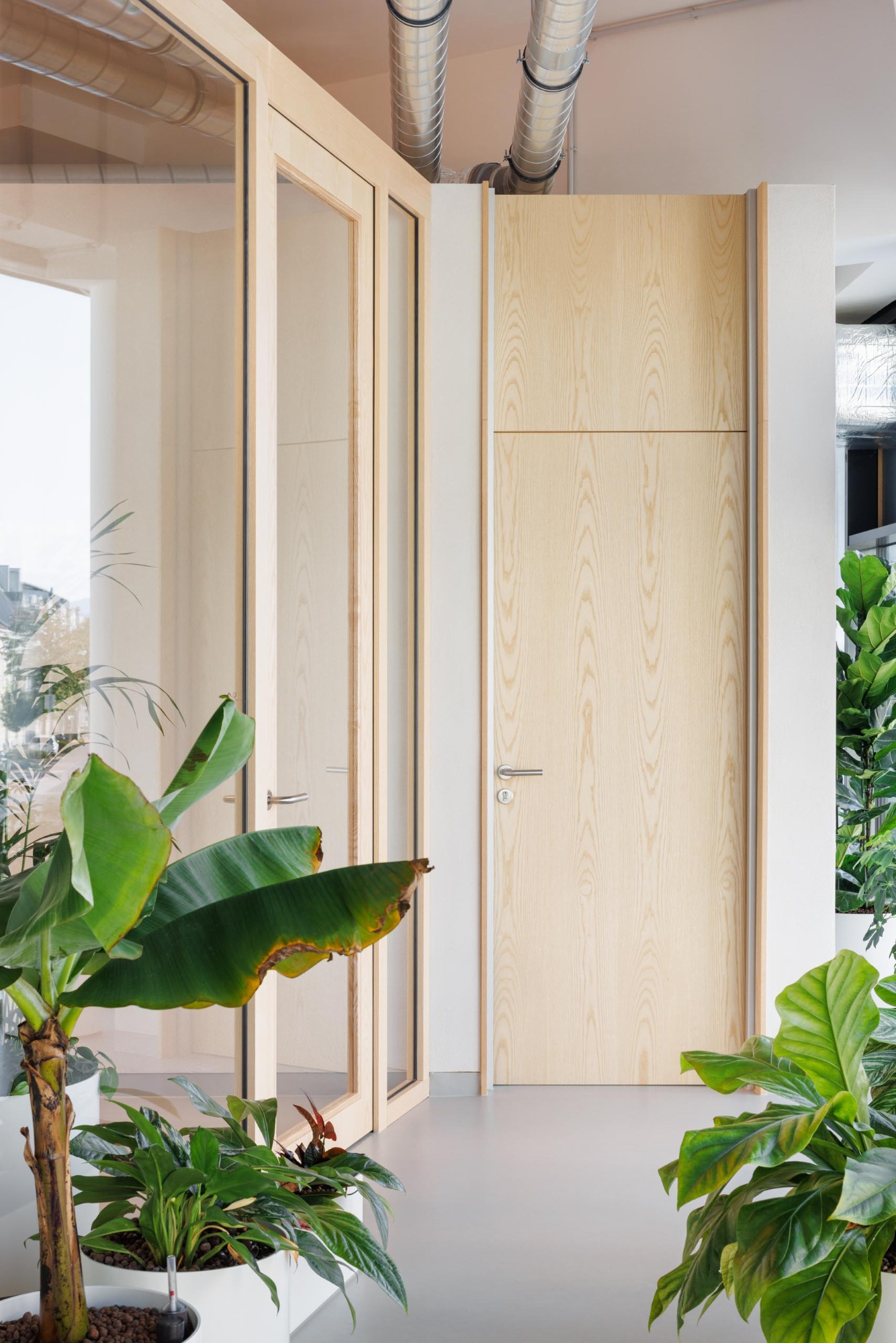 Liko Partitions image 9