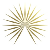 Arteriors logo