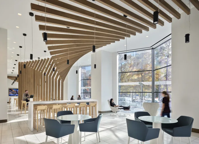 Dirtt image 1