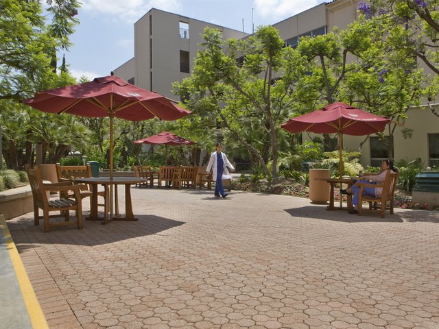 Davis Colors image 11
