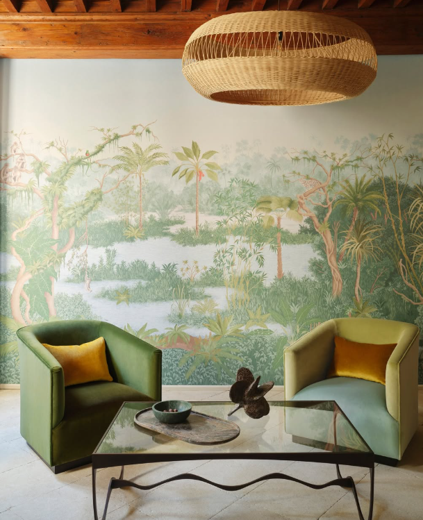 Manuel Canovas image 1