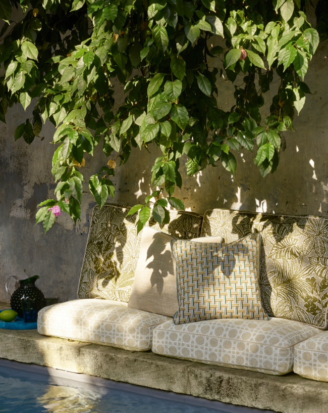 Manuel Canovas image 2