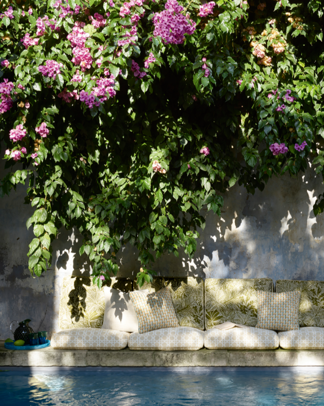 Manuel Canovas image 6