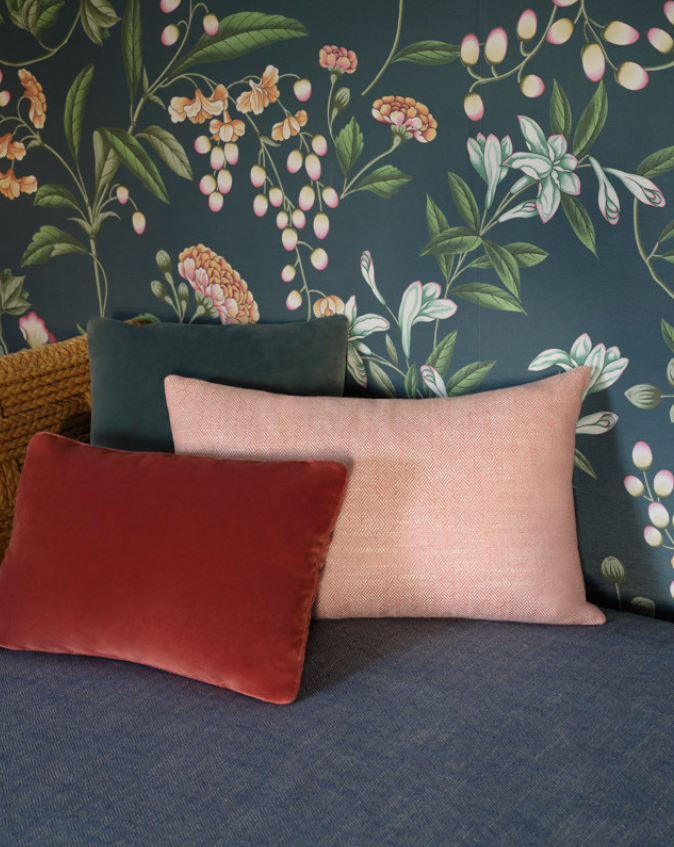 Manuel Canovas image 4