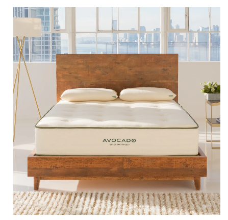 Avocado image 7