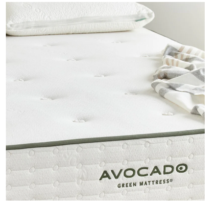 Avocado image 5