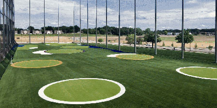Synlawn image 10