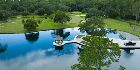 Synlawn image 4