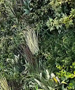 Synlawn image 9