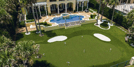 Synlawn image 8