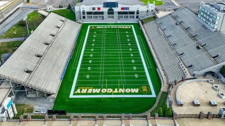 Astro Turf image 2