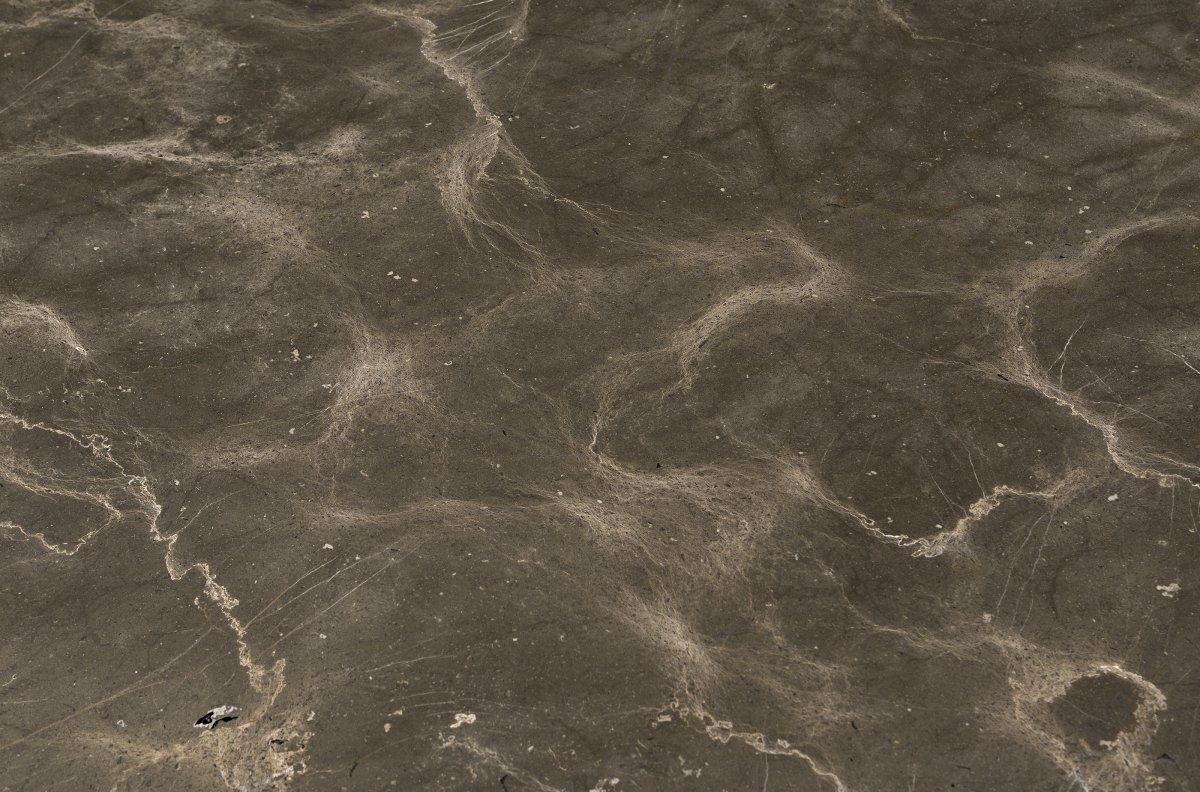 Stone International image 1