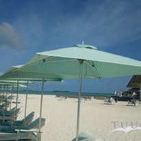 TUUCI image 48