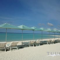 TUUCI image 25