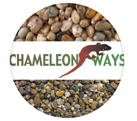 Chameleon Ways, Inc. logo