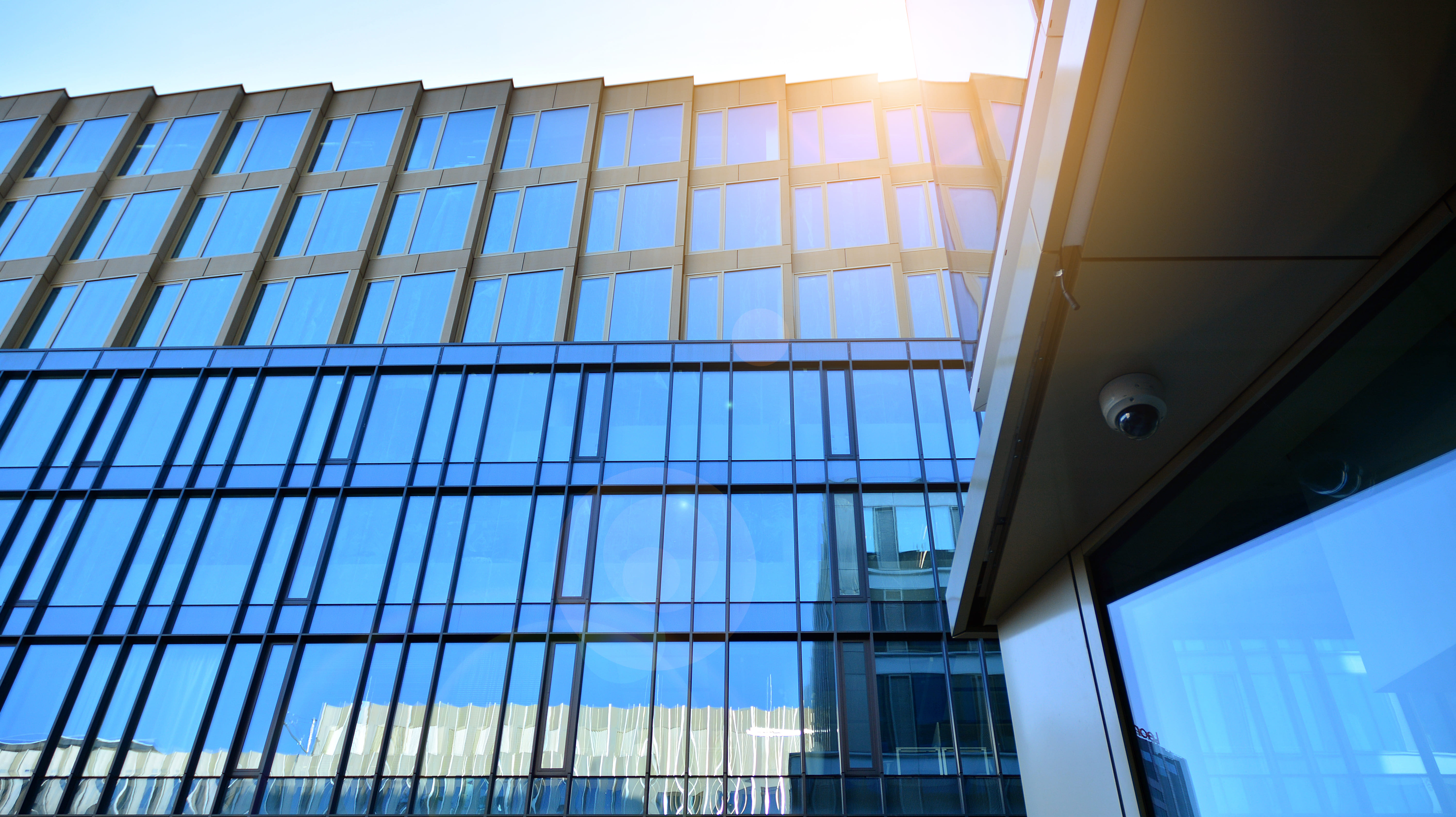 Cosmo Sunshield Window Film image 13