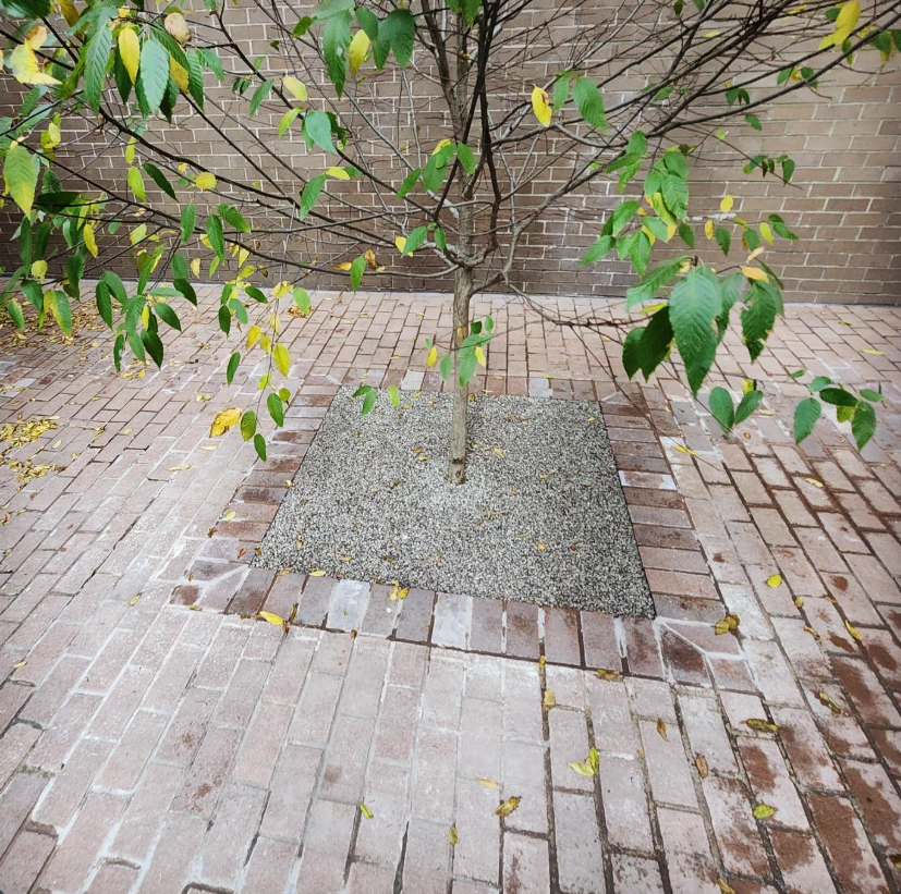 Chameleon Ways, Inc. image 9