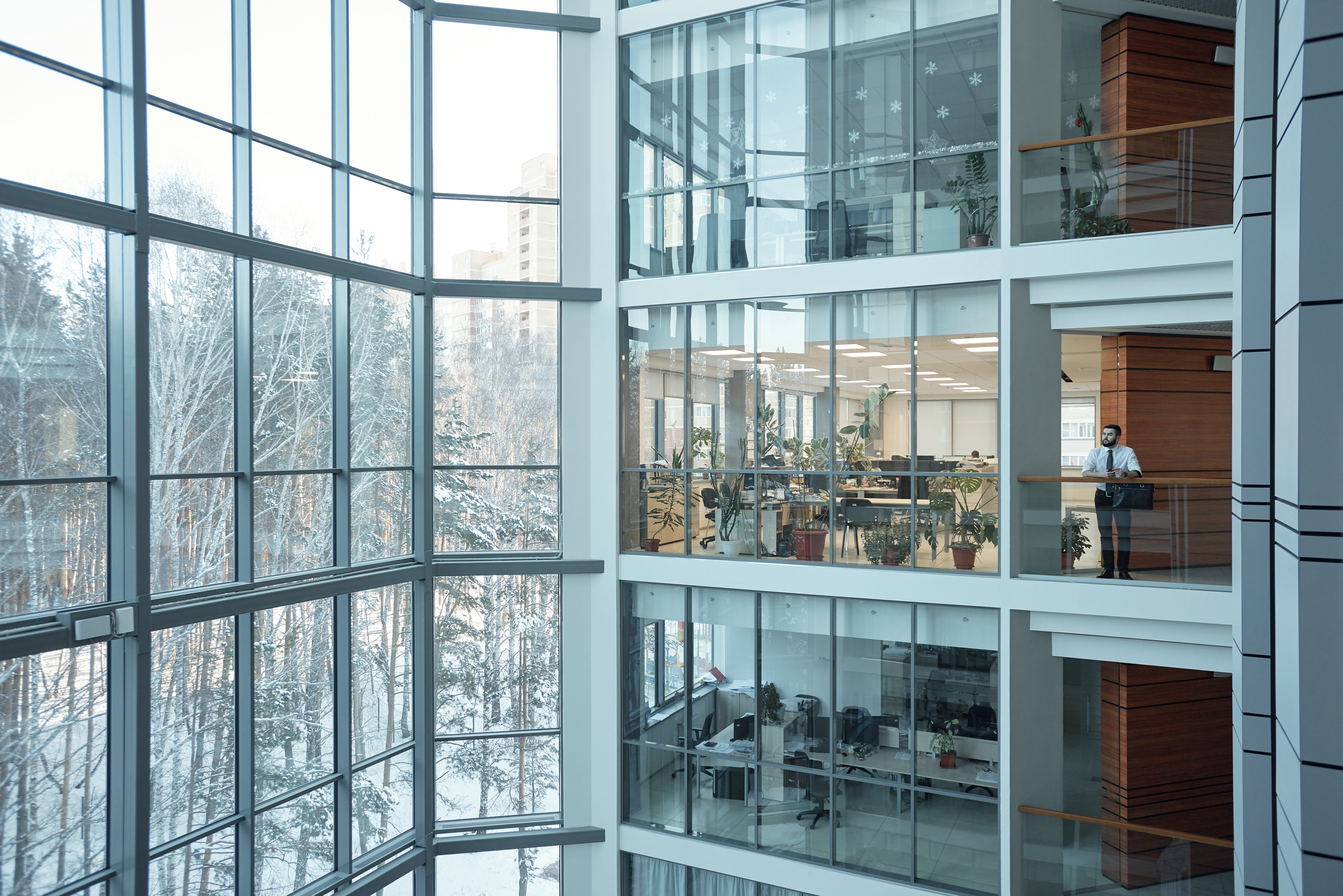Cosmo Sunshield Window Film image 3