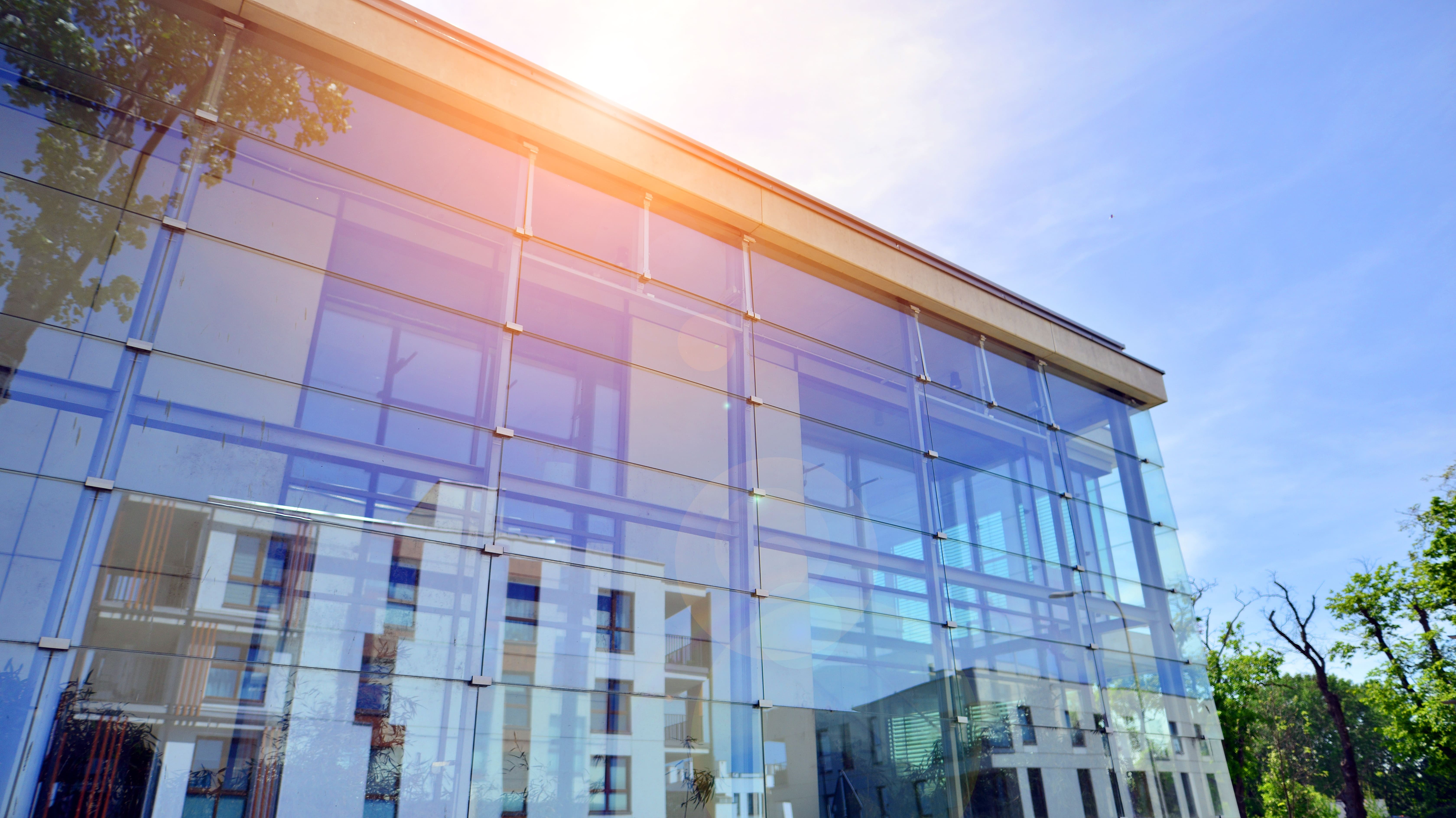 Cosmo Sunshield Window Film image 1