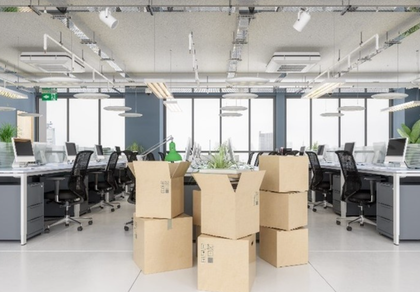 Davies Office image 13