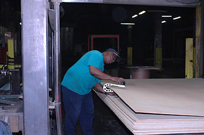 Homasote image 1