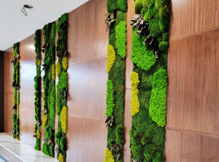 Green Oasis image 6