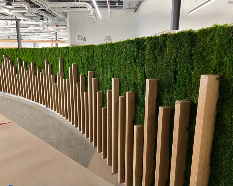 Green Oasis image 9