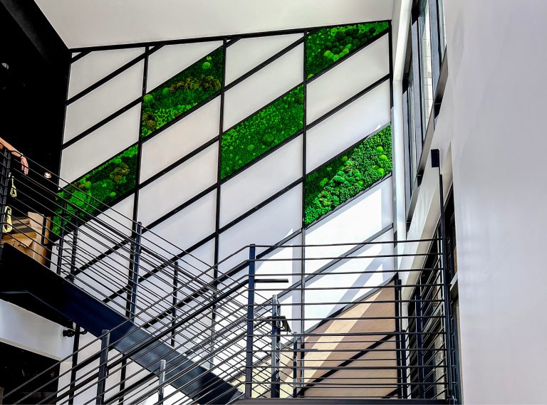 Green Oasis image 1