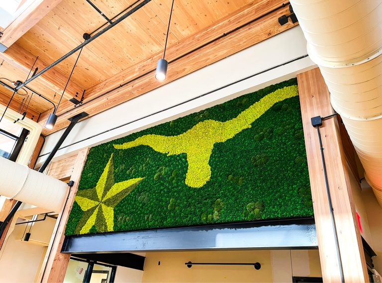 Green Oasis image 8