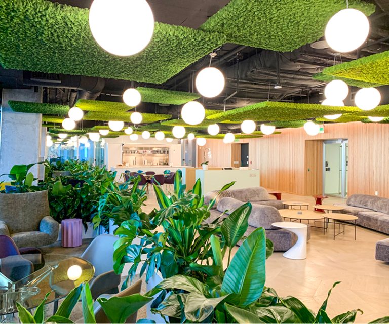 Green Oasis image 7
