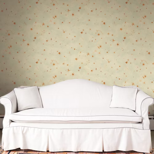 Backdrop image 8