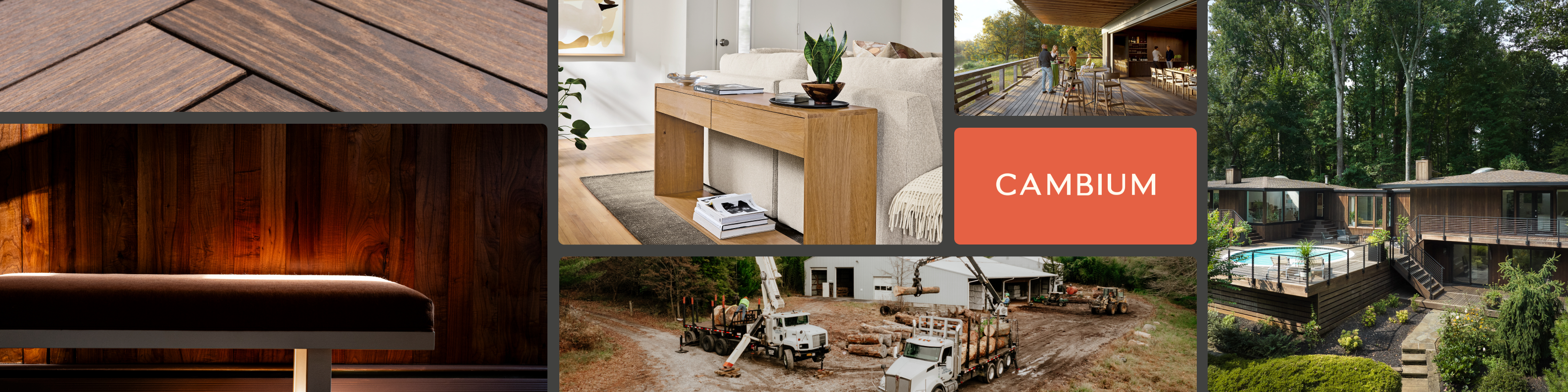 Cambium