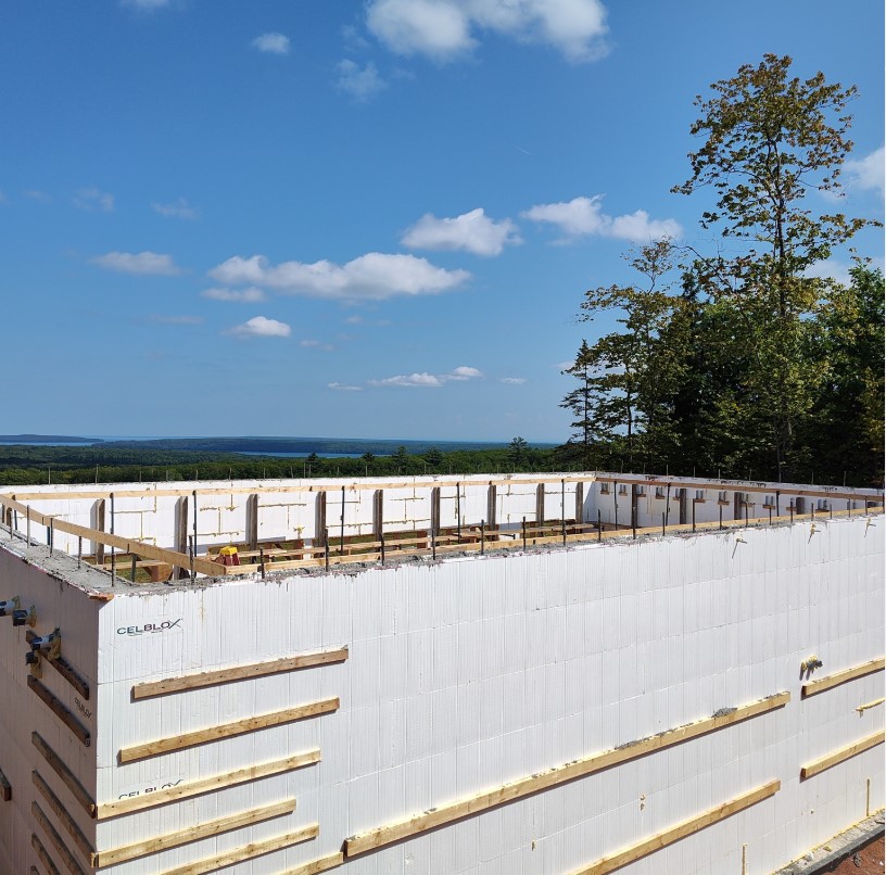 CelBlox® ICF image 2