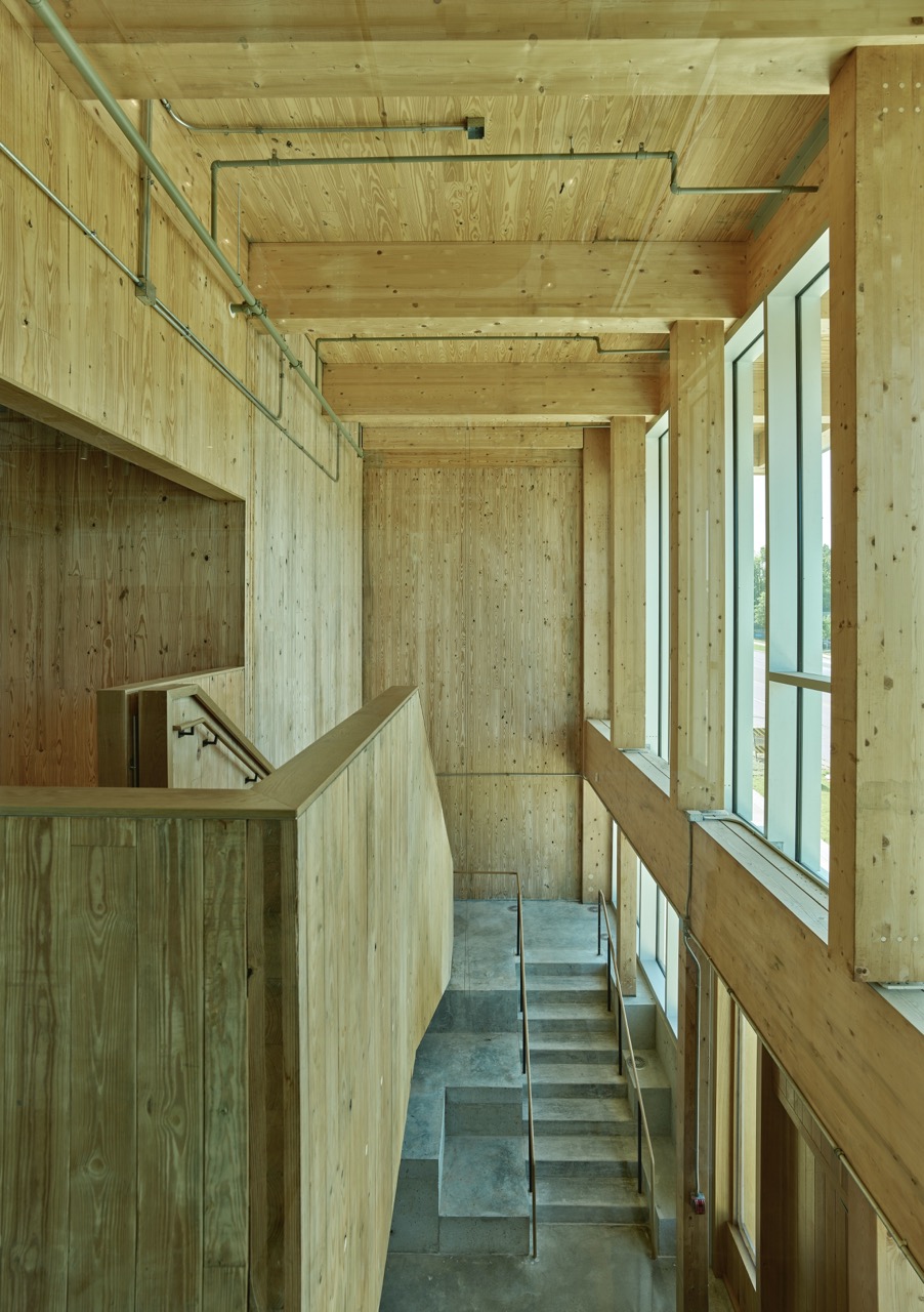 Mercer Mass Timber image 3