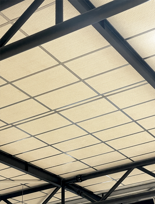 1.            Earthshot Prize