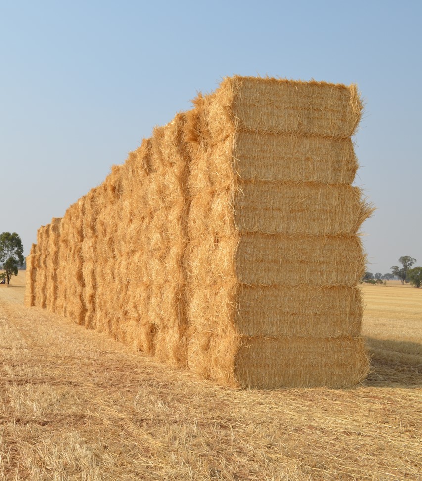 2. Sustainably Sourced & Eco-Friendly