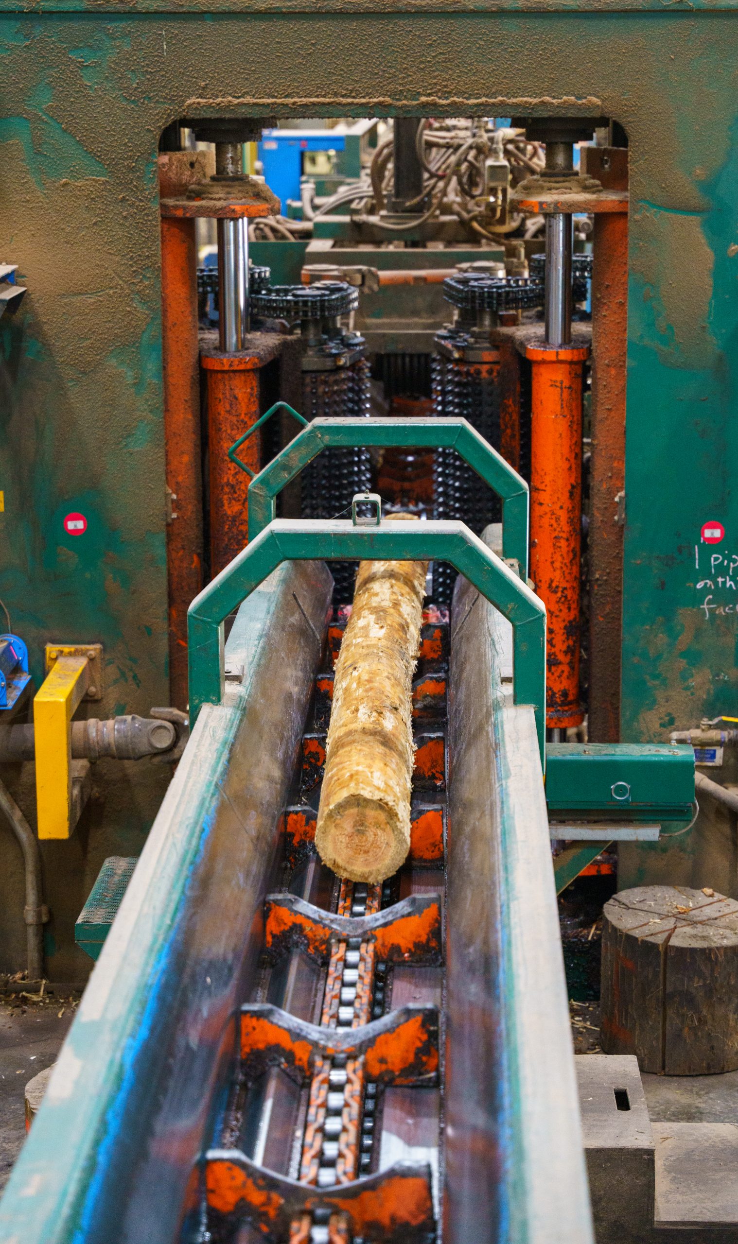 Mad River Mass Timber image 4