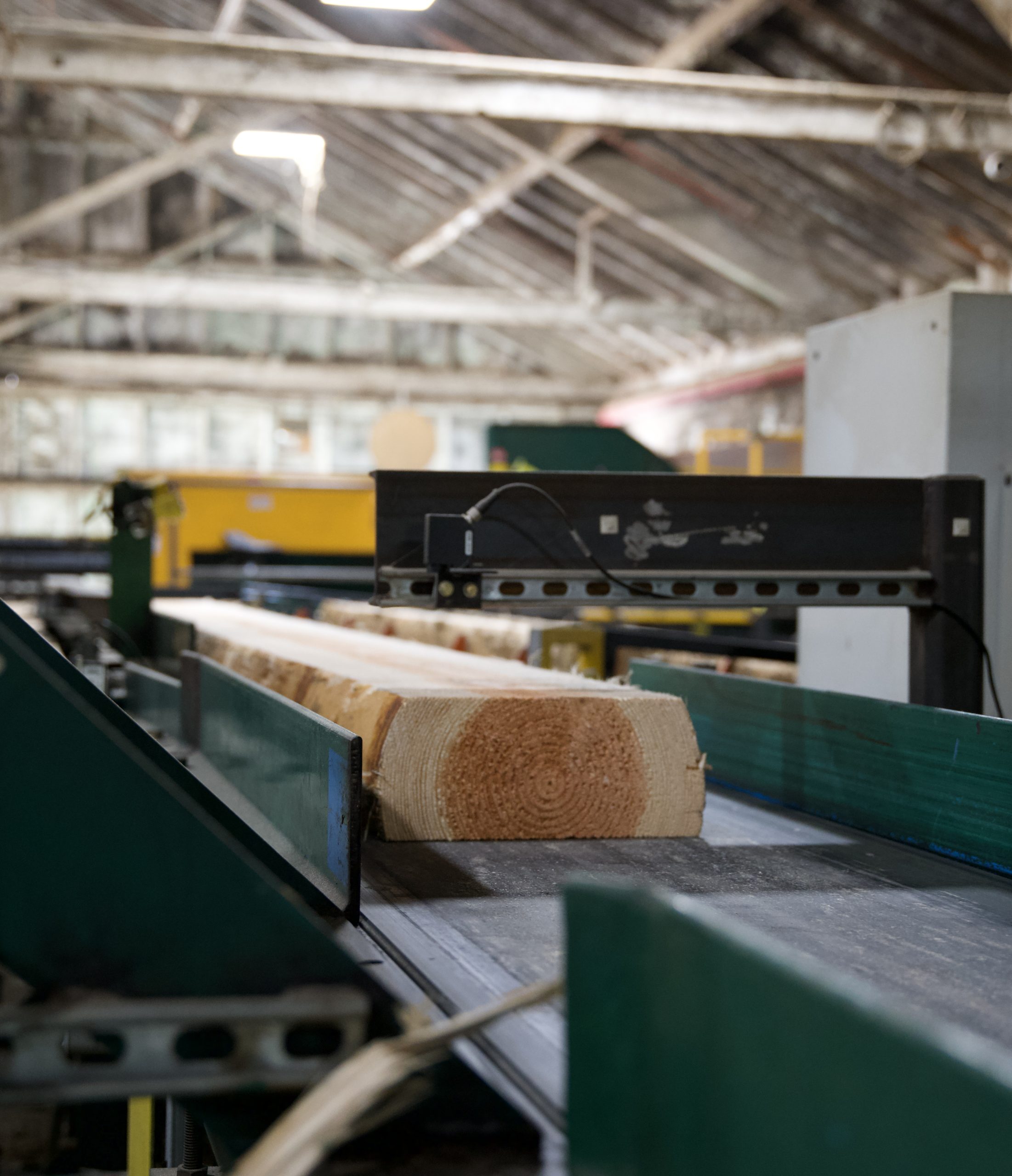Mad River Mass Timber image 7
