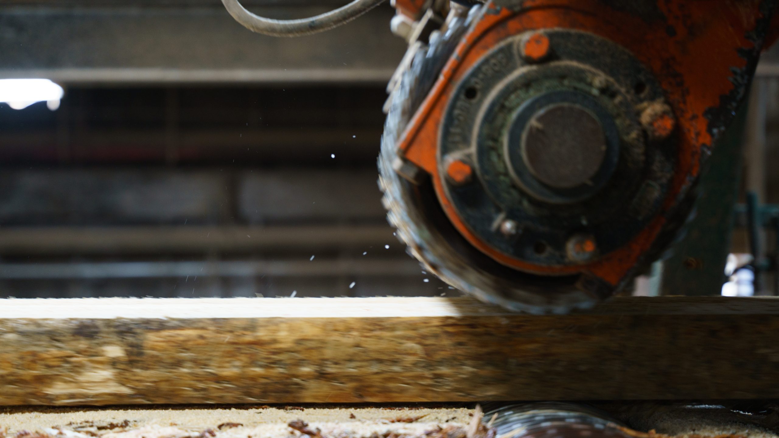 Mad River Mass Timber image 8