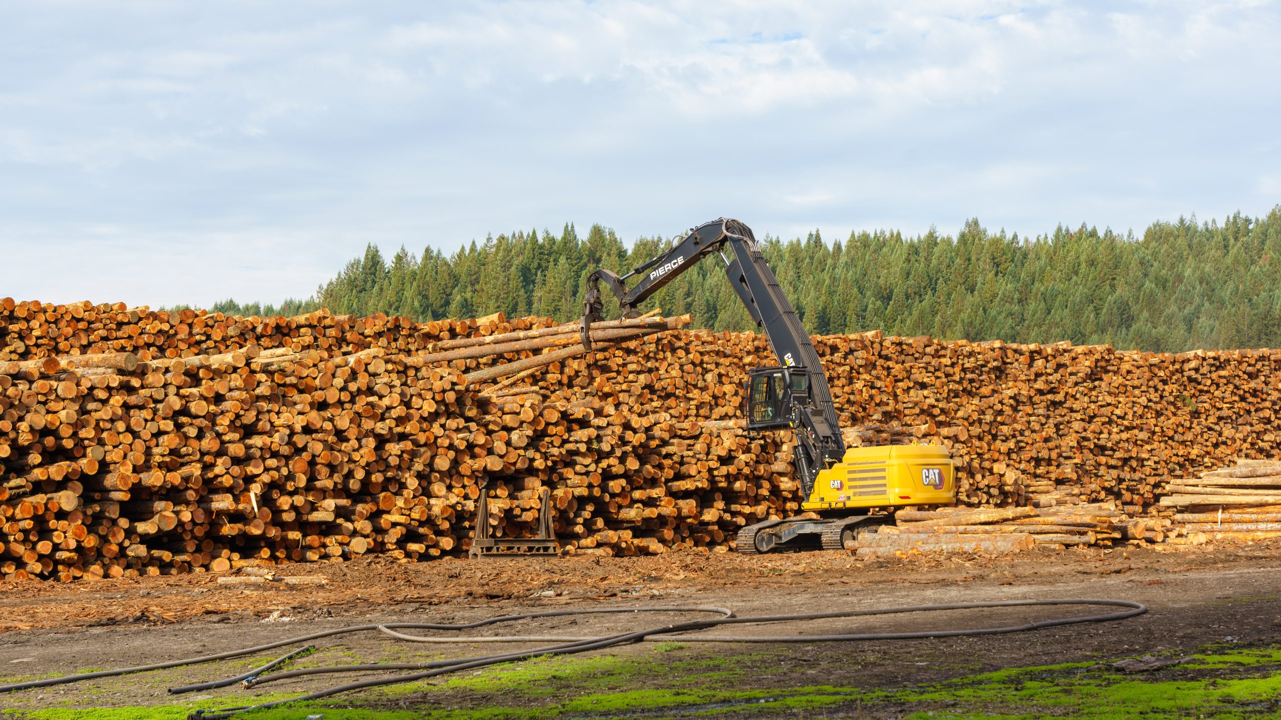 Mad River Mass Timber image 3