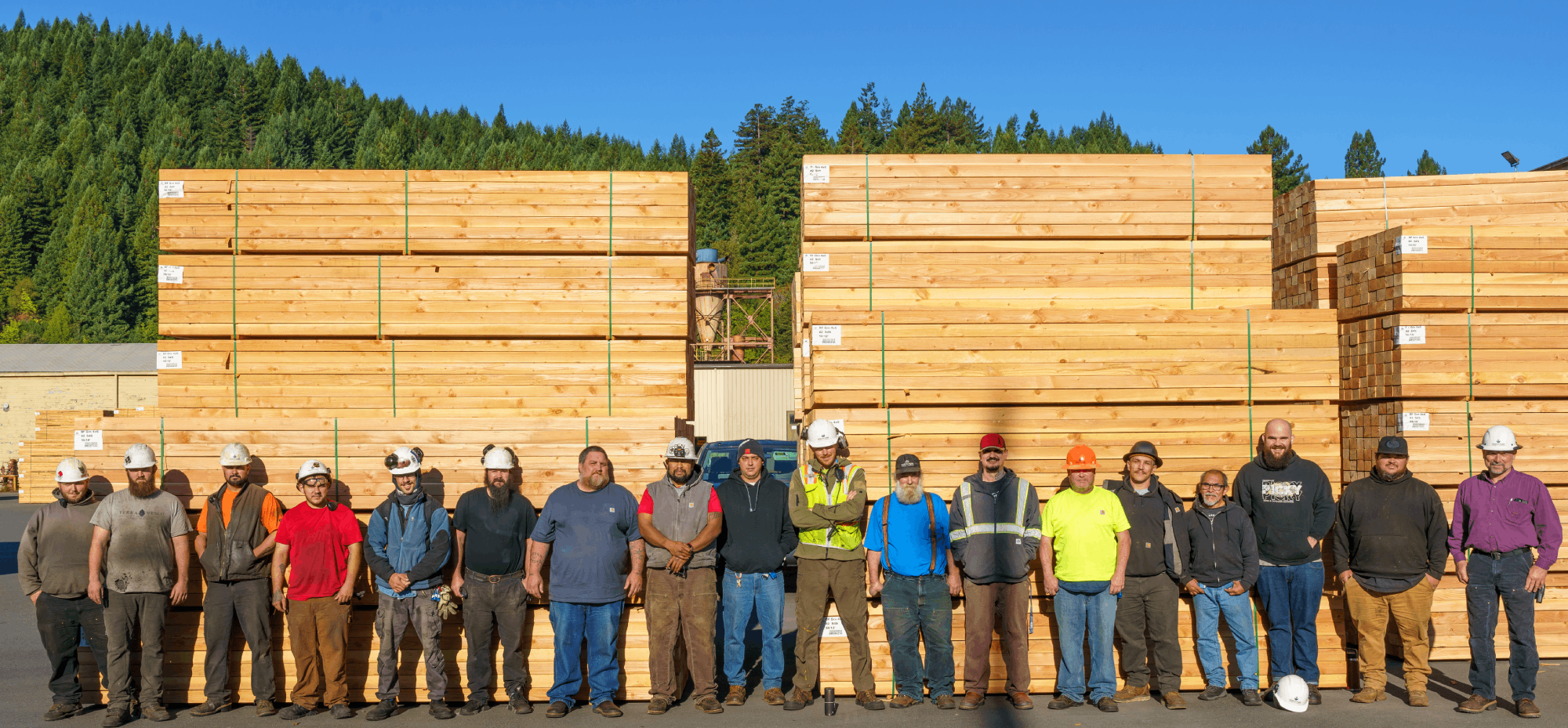 Mad River Mass Timber image 6
