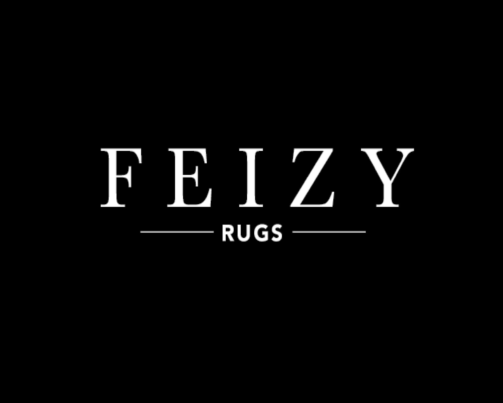 Feizy logo