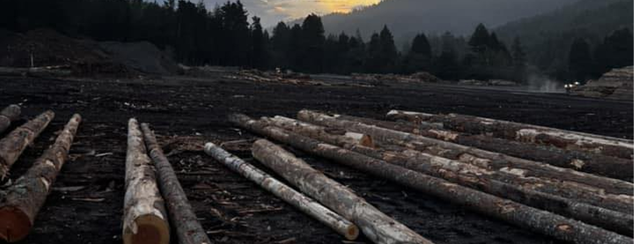 Mad River Mass Timber