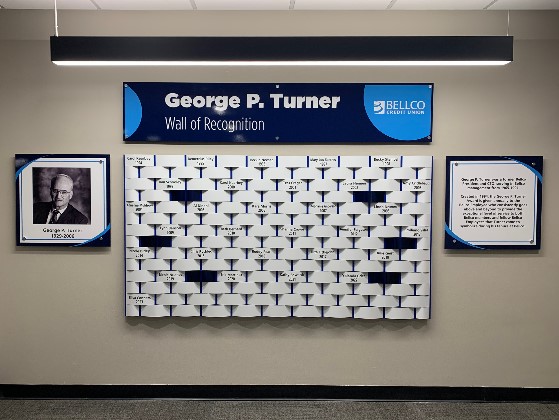 Linx Recognition Walls image 16