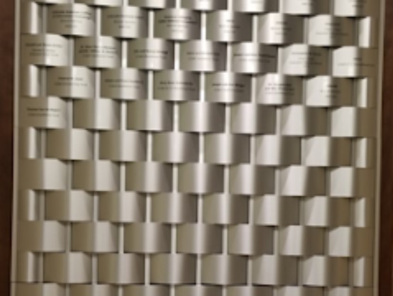 Linx Recognition Walls image 5