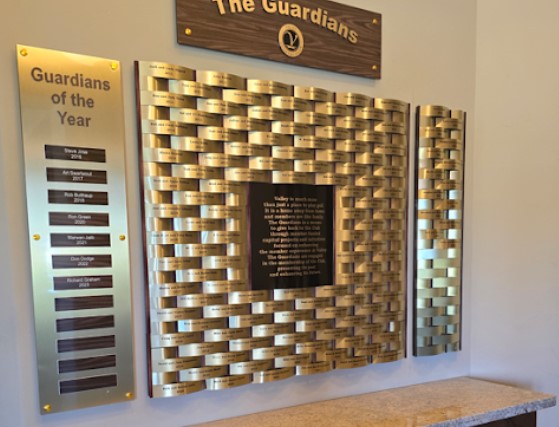 Linx Recognition Walls image 7