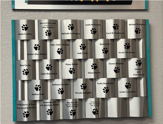 Linx Recognition Walls image 2