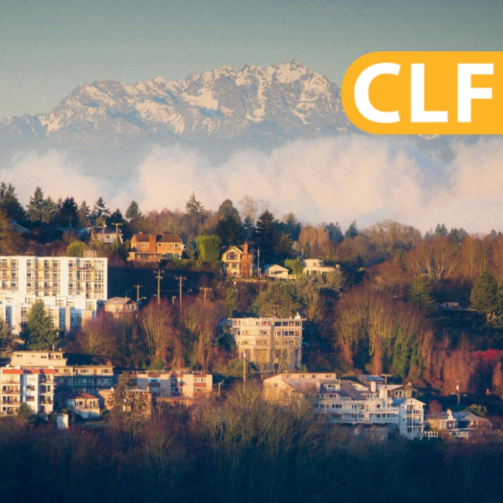 CLF image 4