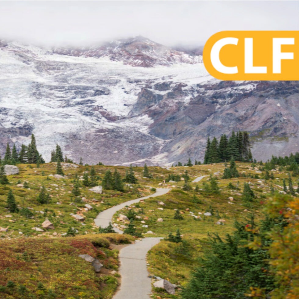 CLF image 3