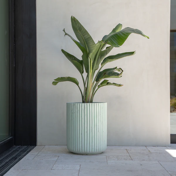 Concretti Designs image 11